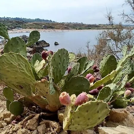 Cala38 Apartmán Terrasini