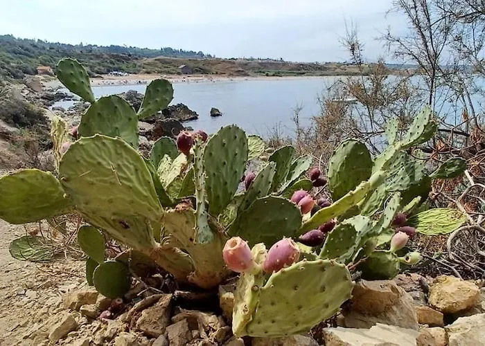 Cala38 Lejlighed Terrasini